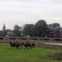 Pieterpad