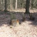 tussen Beek en Zeddam